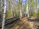 Naturpark Südgelände